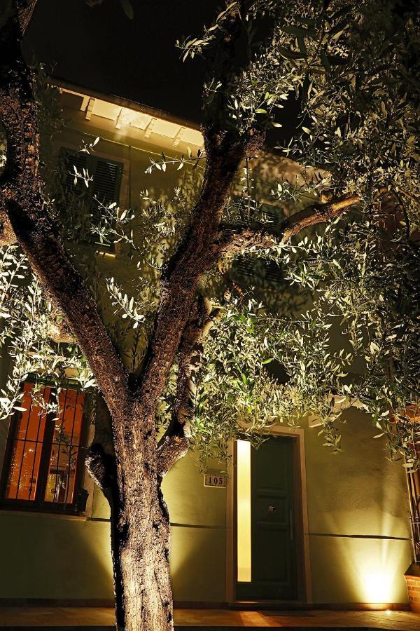 B&B Ulivo Gaio San Miniato Exterior photo